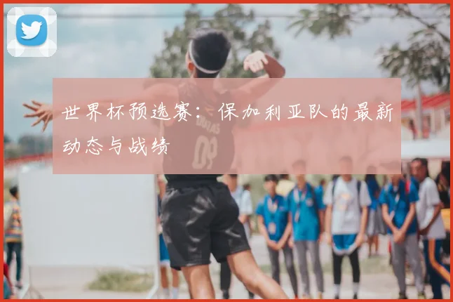 世界杯预选赛：保加利亚队的最新动态与战绩