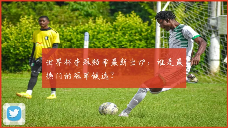 世界杯夺冠赔率最新出炉,谁是最热门的冠军候选?